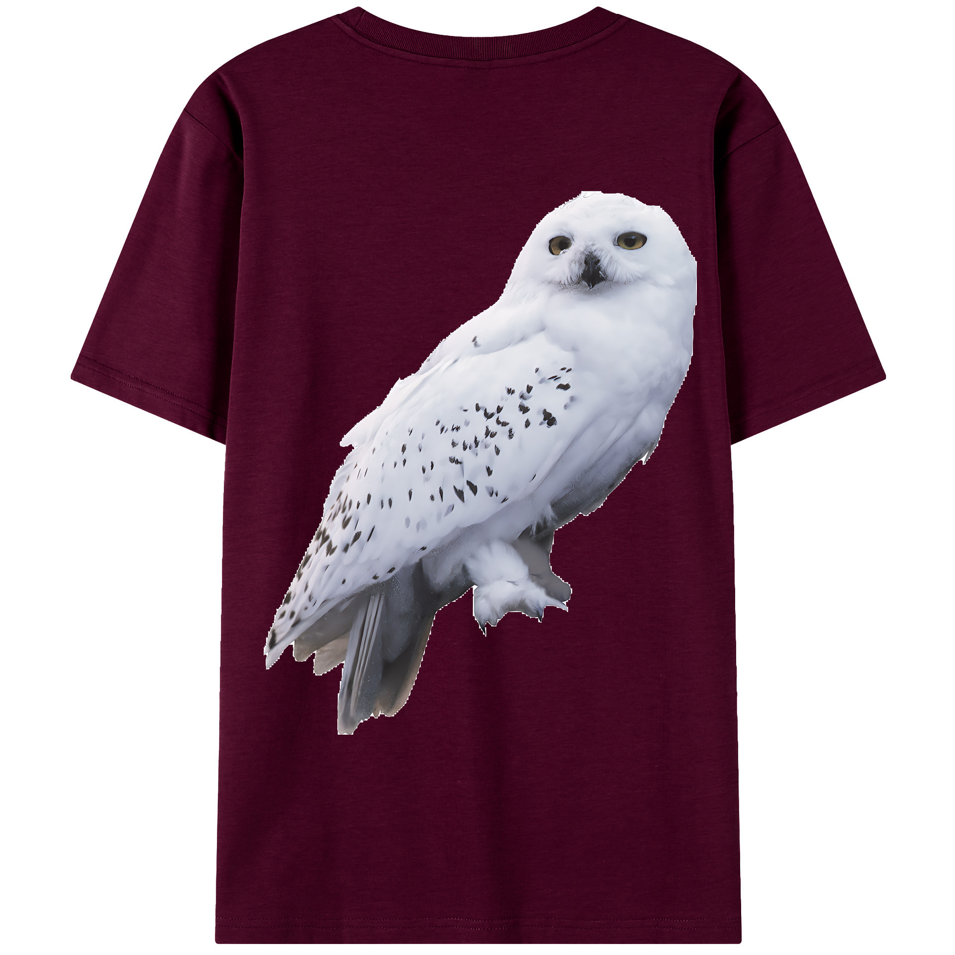 （画像用） Harry Potter ハリー・ポッターシリーズ レディース半袖Tシャツ(バックプリント)